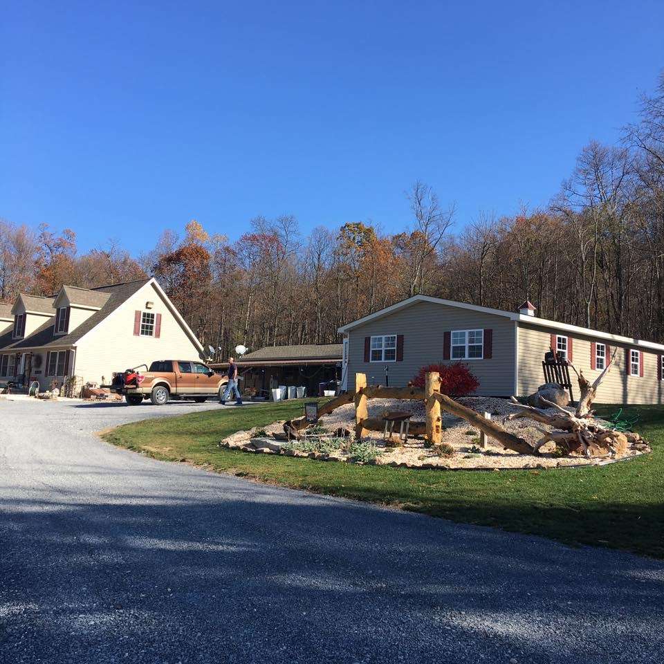 lil diva puppy boutique