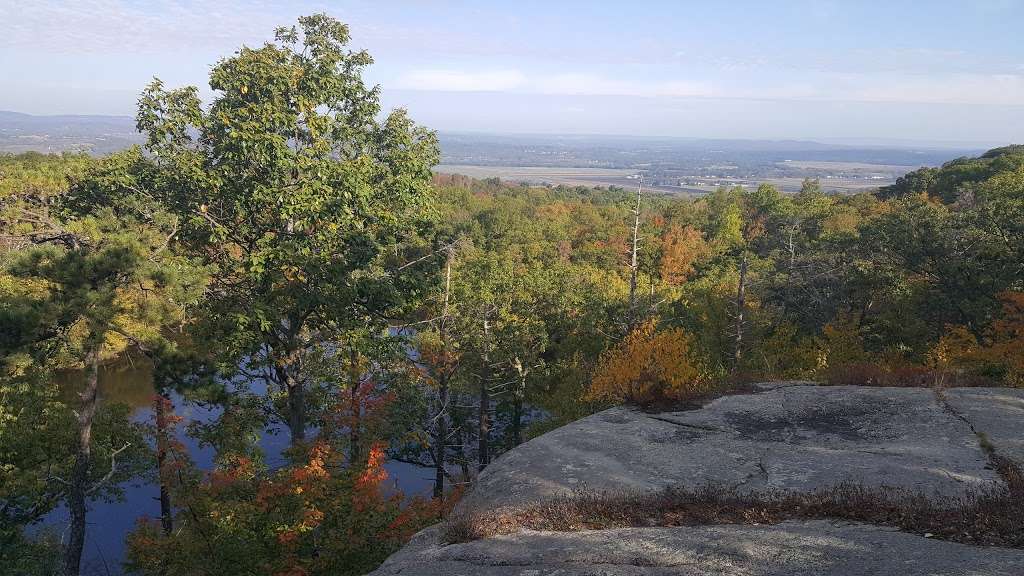 Pochuck Mountain State Forest | Pine Island, NY 10969