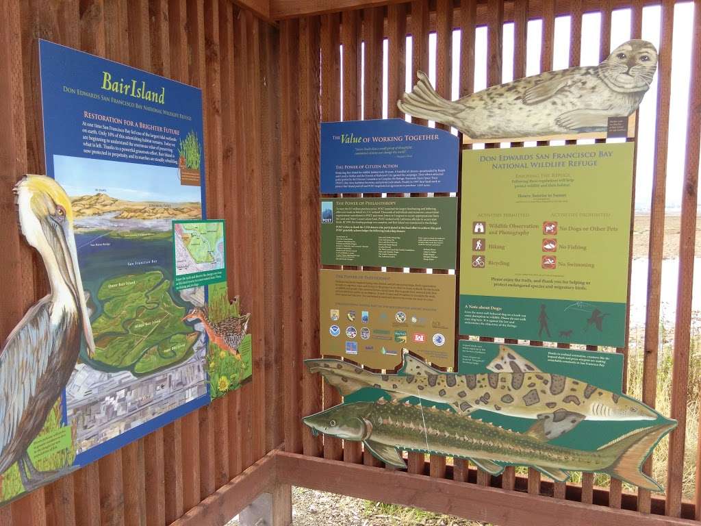 Bair Island Wildlife Refuge & Trail | 3 Uccelli Dr, Redwood City, CA 94063, USA | Phone: (415) 561-5510