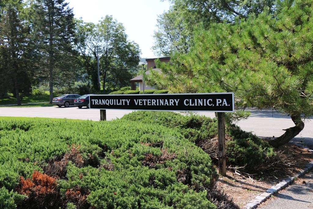 Tranquility Veterinary Clinic | 17 Kennedy Rd, Tranquility, NJ 07879, USA | Phone: (908) 852-7800