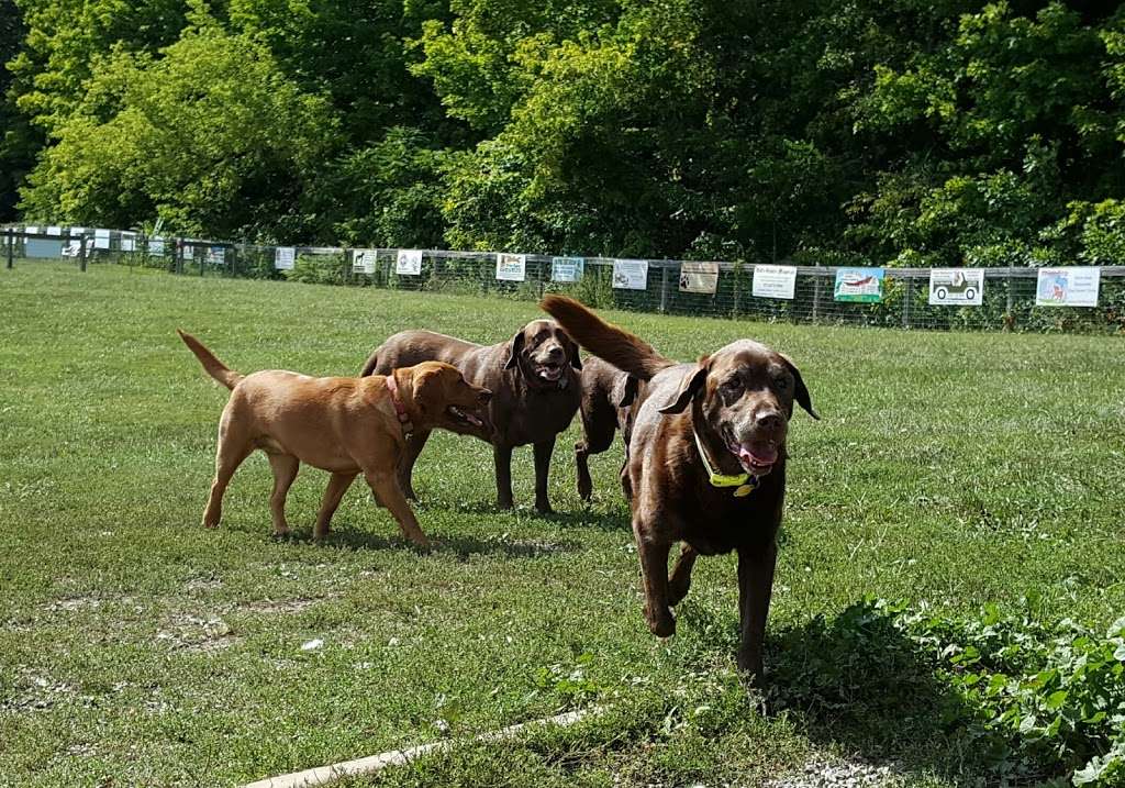 Wantage Dog Park | 128 County Rd 628, Wantage, NJ 07461, USA