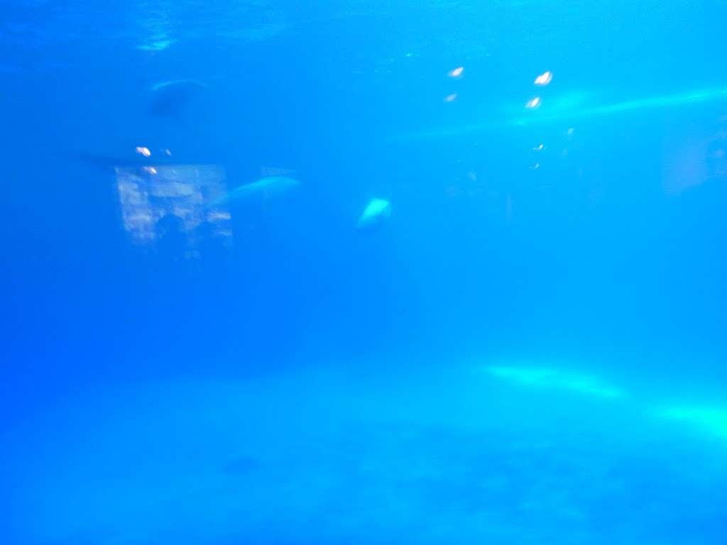 Grant Creek Prairie Nature Preserve | Wilmington, IL 60481, USA