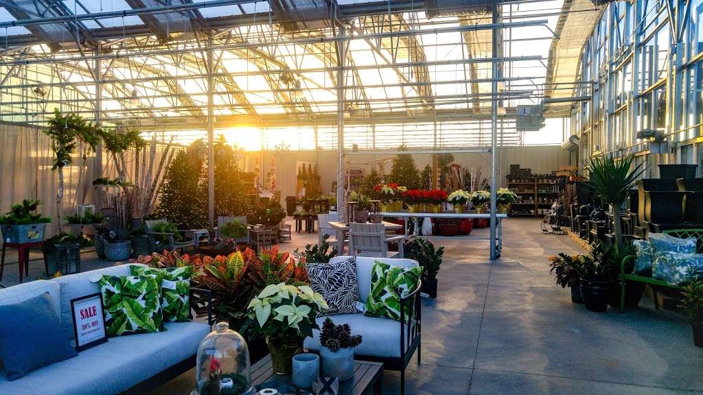 Wasson Nursery | 13279 E 126th St, Fishers, IN 46037 | Phone: (317) 770-3321