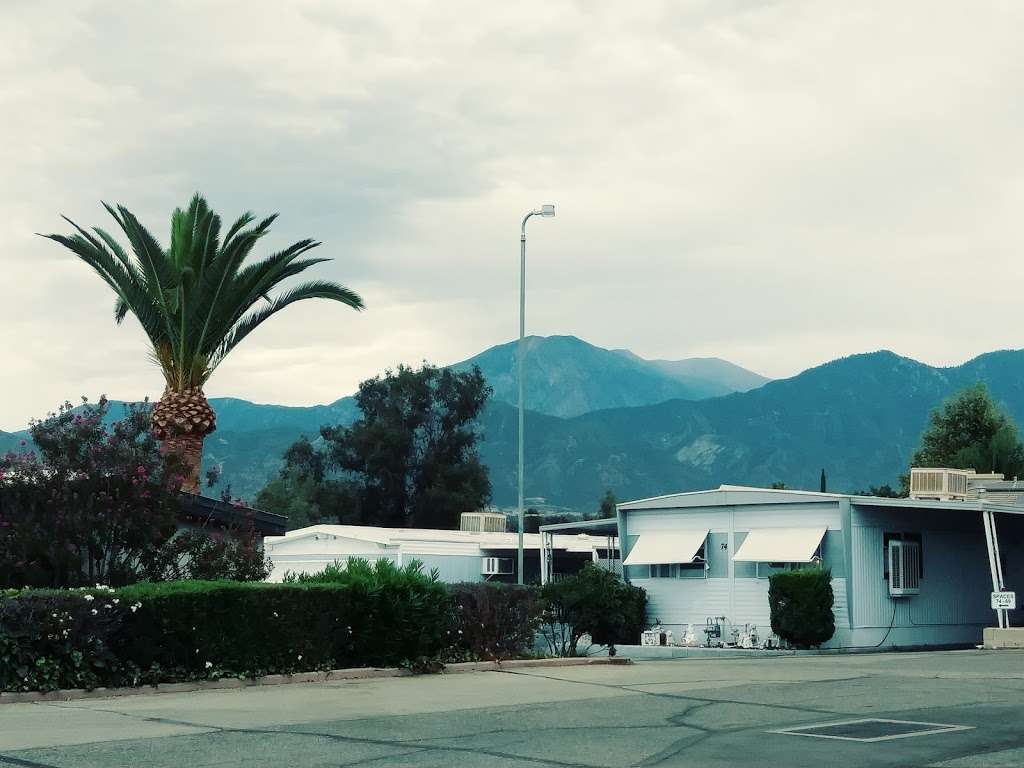 Valley View Mobile Home Park | 12995 6th St, Yucaipa, CA 92399, USA | Phone: (909) 795-2118