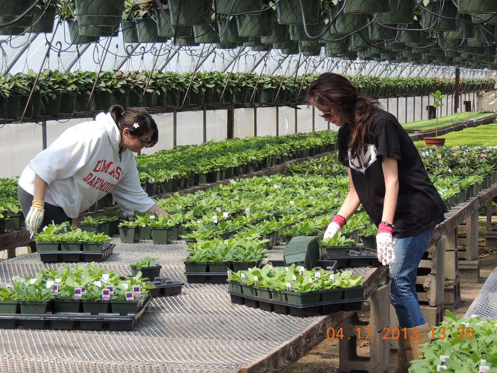 Dargoonian Farms | 23 Blanchard St, Andover, MA 01810, USA | Phone: (978) 475-1918