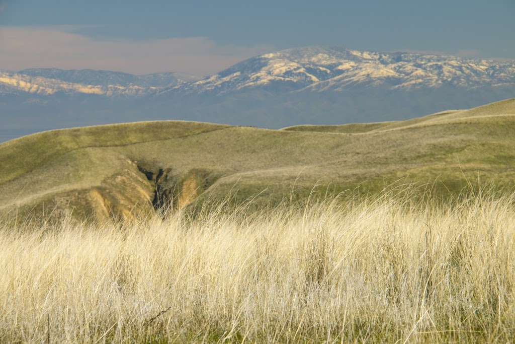 Wind Wolves Preserve | 16019 CA-166, Bakersfield, CA 93311, USA | Phone: (661) 858-1115