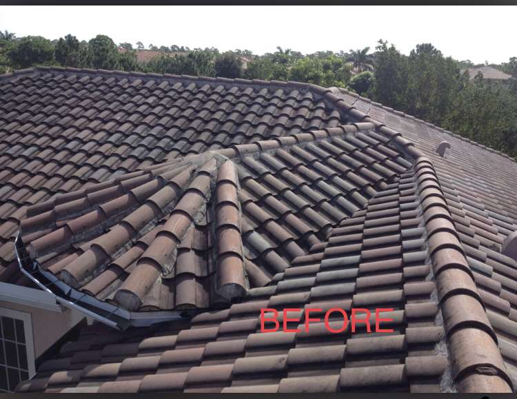 Fantastic Roof Cleaning | 9020 Bellhurst Way Suite 104-1022, West Palm Beach, FL 33411 | Phone: (561) 324-3688