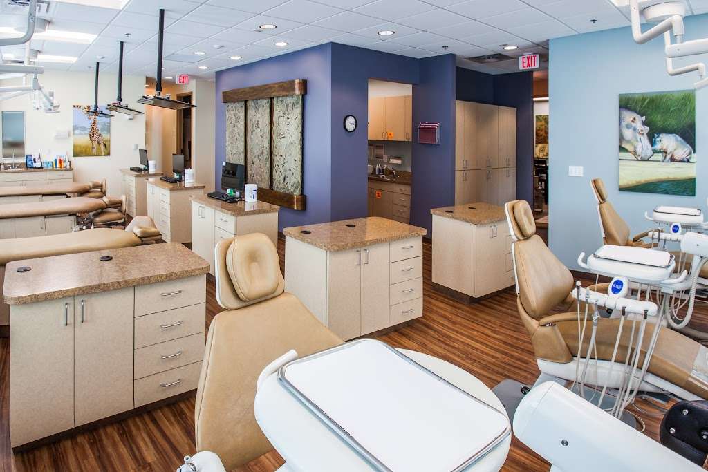 Celebration Pediatric Dentistry | 1530 Celebration Blvd #411, Celebration, FL 34747, USA | Phone: (407) 566-4646