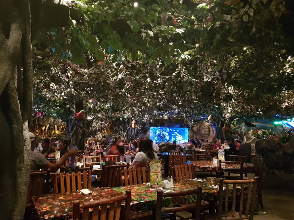 Rainforest Cafe | 5310 Seawall Blvd, Galveston, TX 77551, USA | Phone: (409) 744-6000