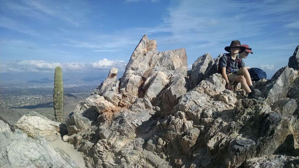 Piestewa Peak Park | 2701 E Squaw Peak Dr, Phoenix, AZ 85016, USA | Phone: (602) 261-8318