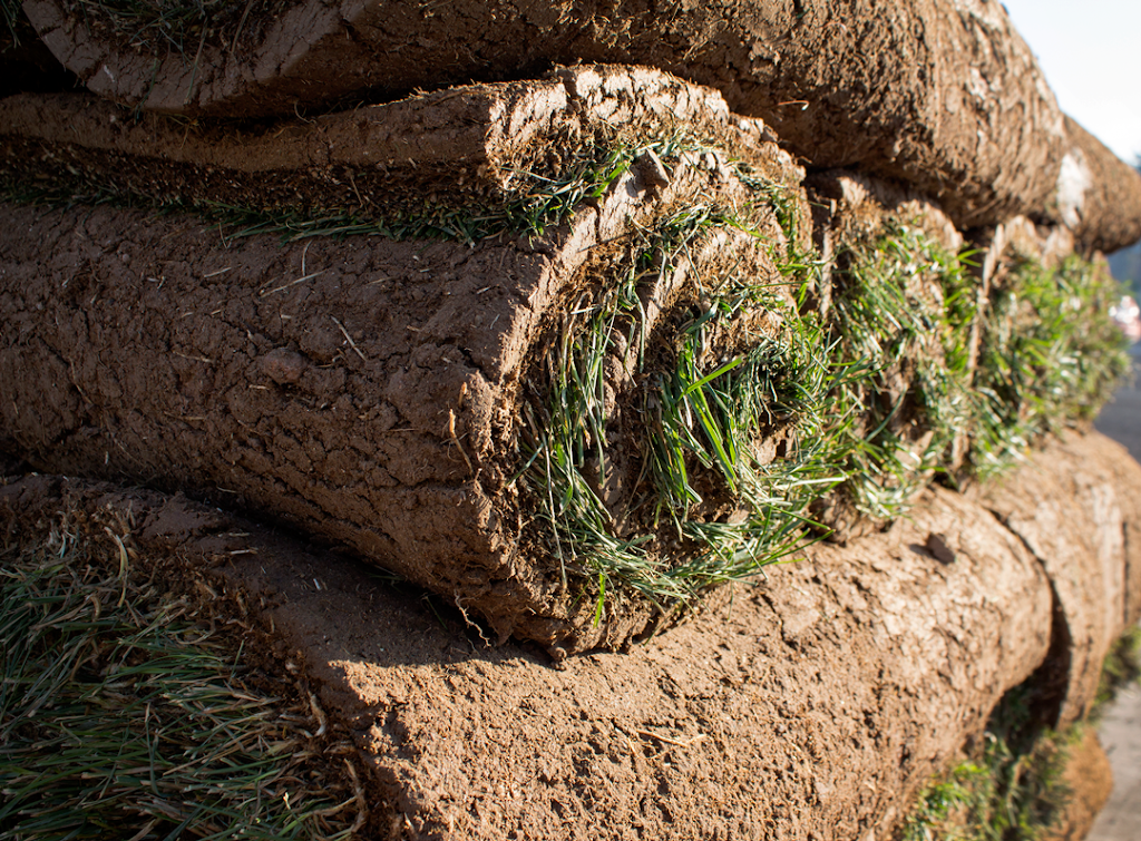 Western Turf & Hardscapes | 465 Tacchino St, Reno, NV 89512, USA | Phone: (775) 356-8873