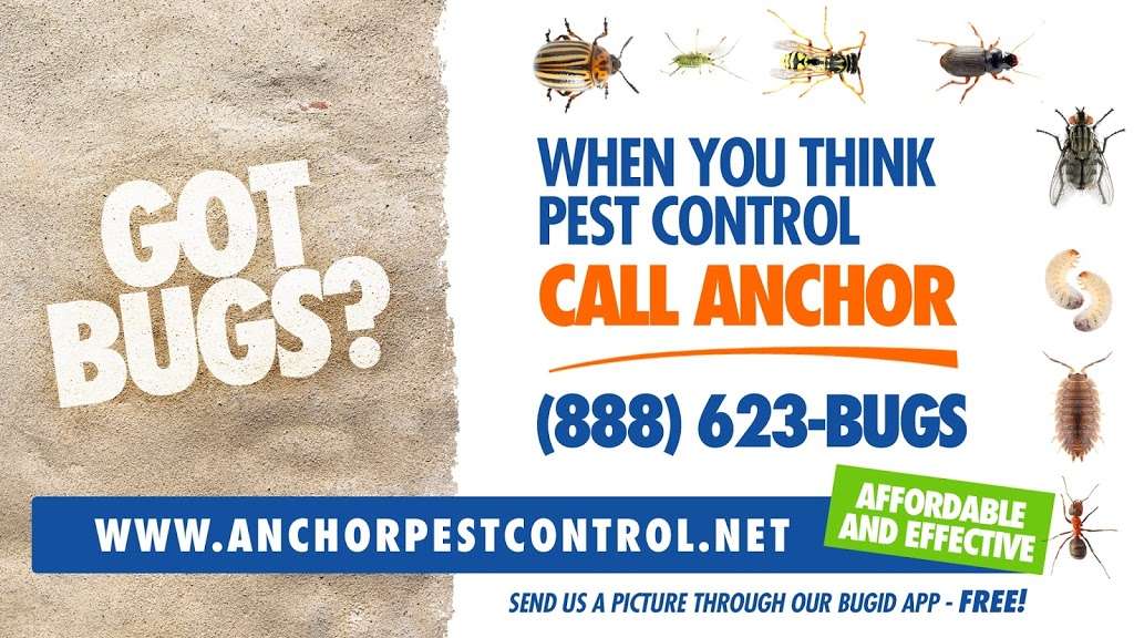 Anchor Pest Control | 733 NJ-18, East Brunswick, NJ 08816, USA | Phone: (732) 636-8761