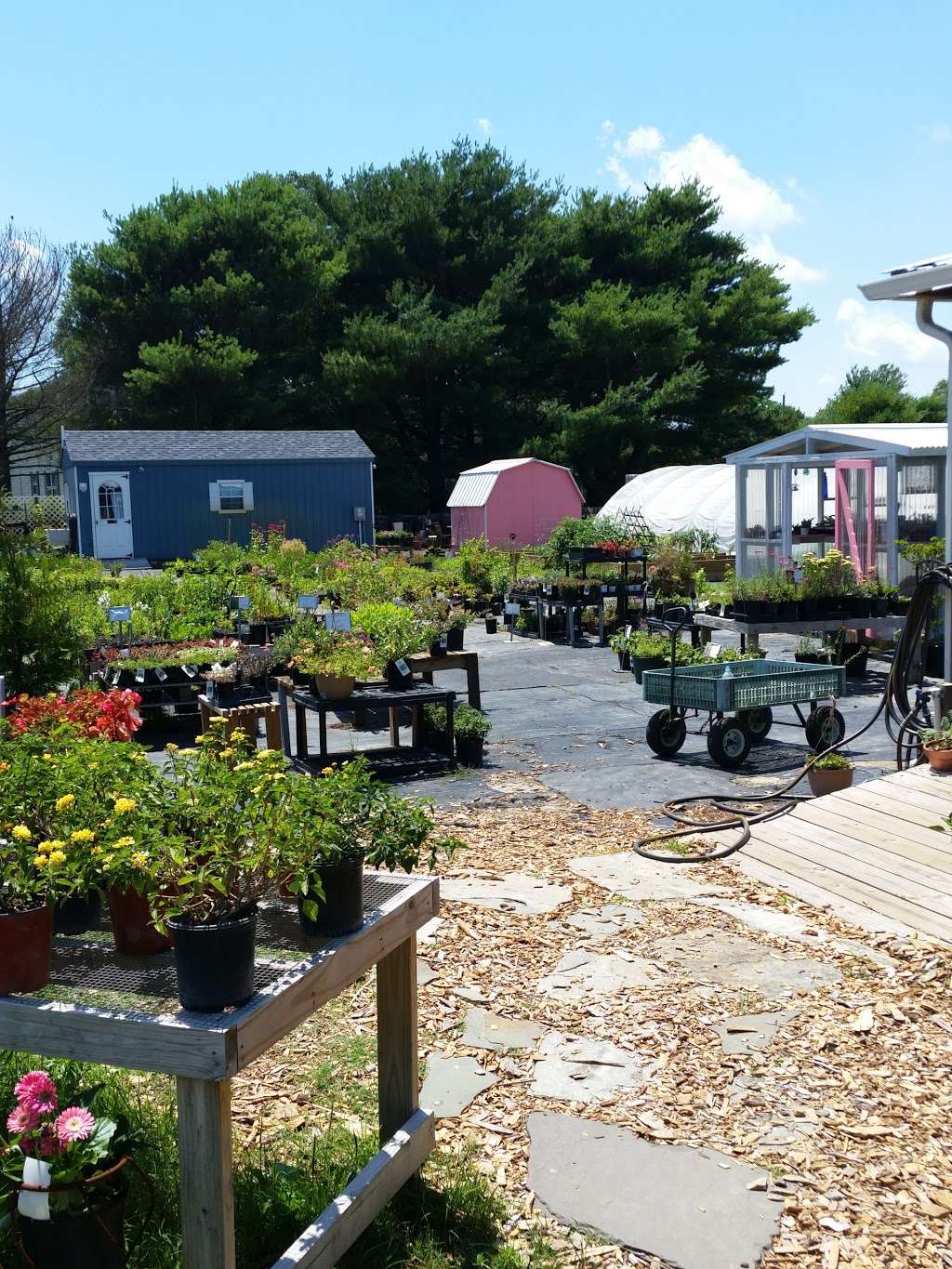 Inland Bays Garden Center | 38320 Muddy Neck Rd, Frankford, DE 19945, USA | Phone: (302) 539-1839