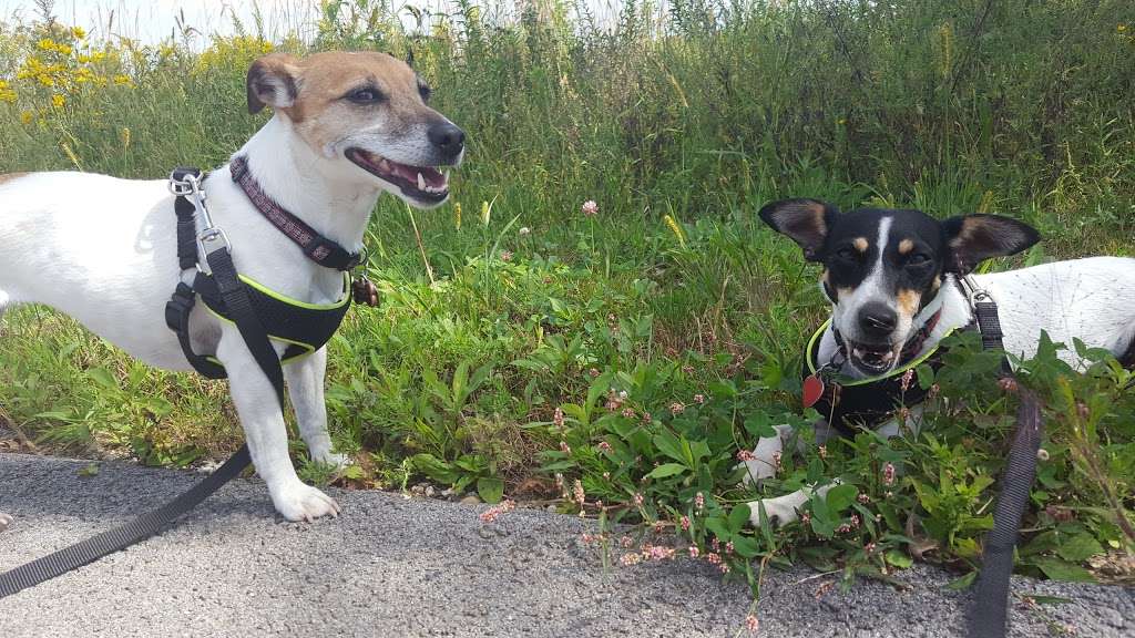 Orland Grassland | 167th Street & S La Grange Road, Tinley Park, IL 60487, USA | Phone: (708) 220-9596