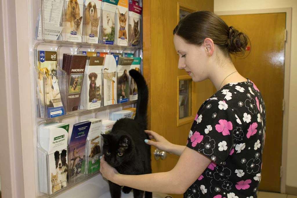 East Oak Veterinary Hospital | 1673 E Oak Rd, Vineland, NJ 08361, USA | Phone: (856) 696-4440