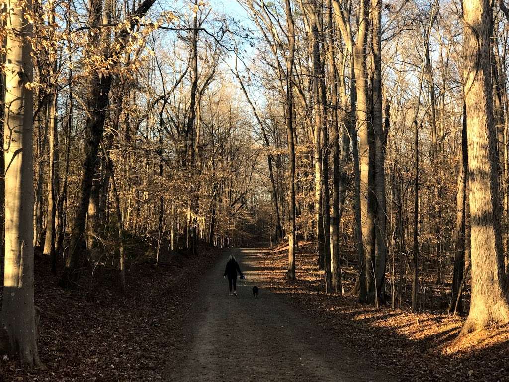 Nature Center at ASC Greenway | Anne Springs Close Greenway, 1604 State Hwy 252, Fort Mill, SC 29715, USA | Phone: (803) 547-4575