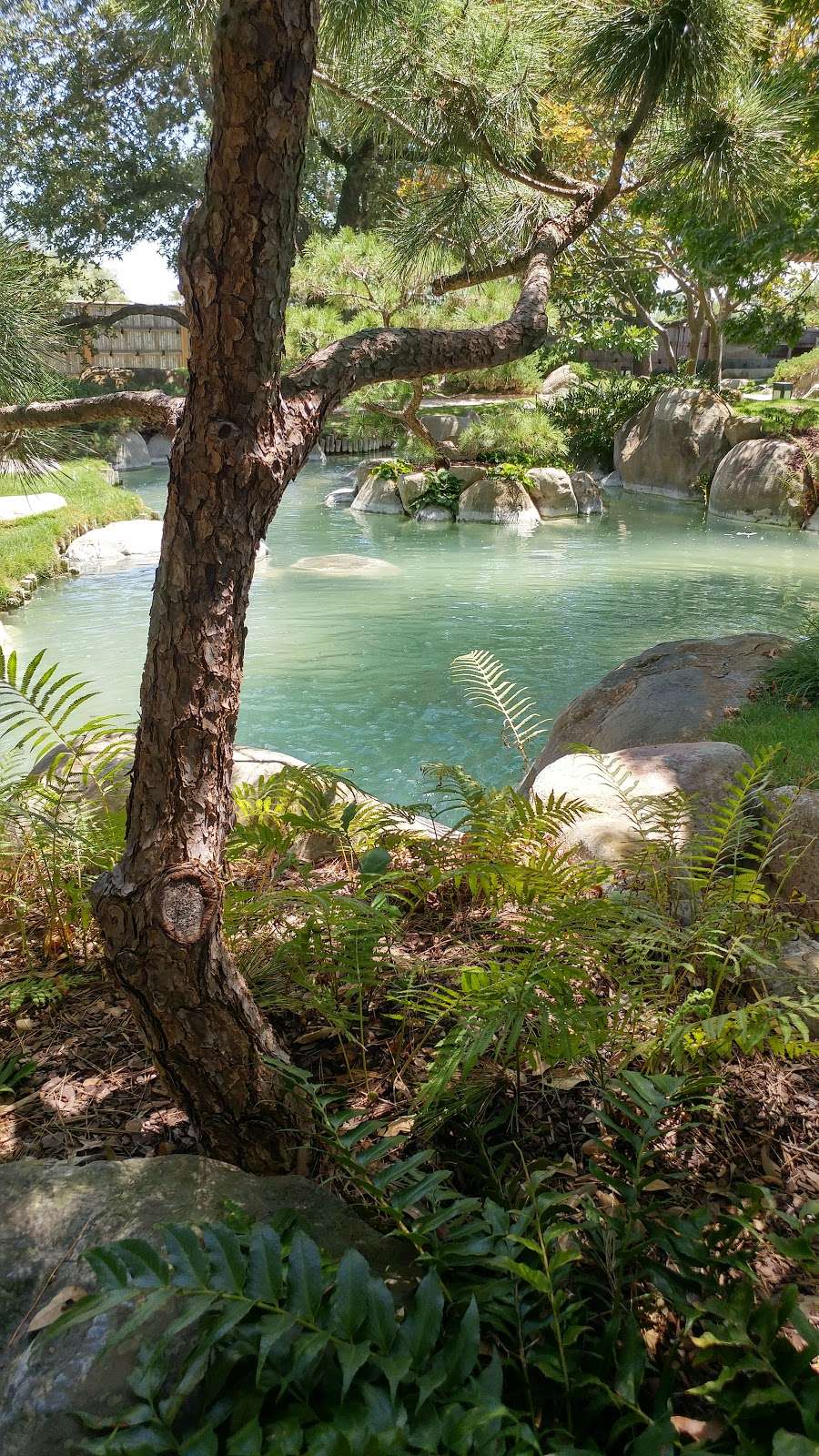 San Antonio Botanical Garden | 555 Funston Pl, San Antonio, TX 78209, USA | Phone: (210) 536-1400