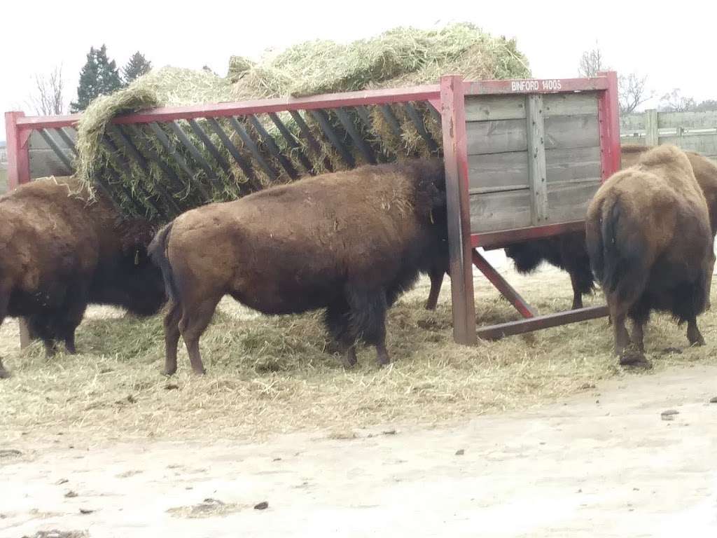 Bison Barn | Pine St, Batavia, IL 60510, USA