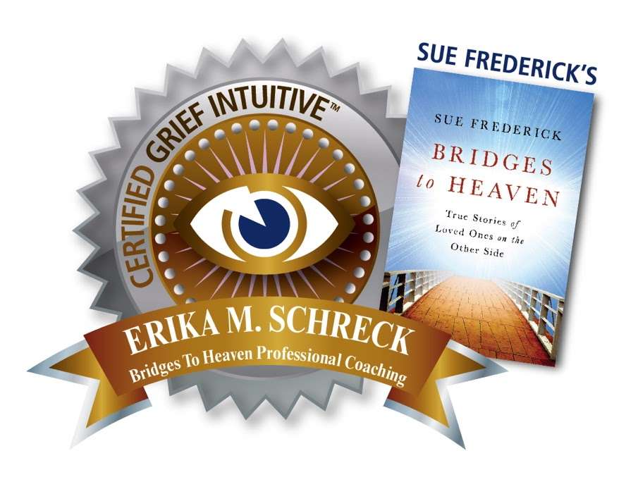 Turtle Healing Energy and Erika M. Schreck | 6897 Paiute Ave unit 2c, Niwot, CO 80503, USA | Phone: (970) 239-1743