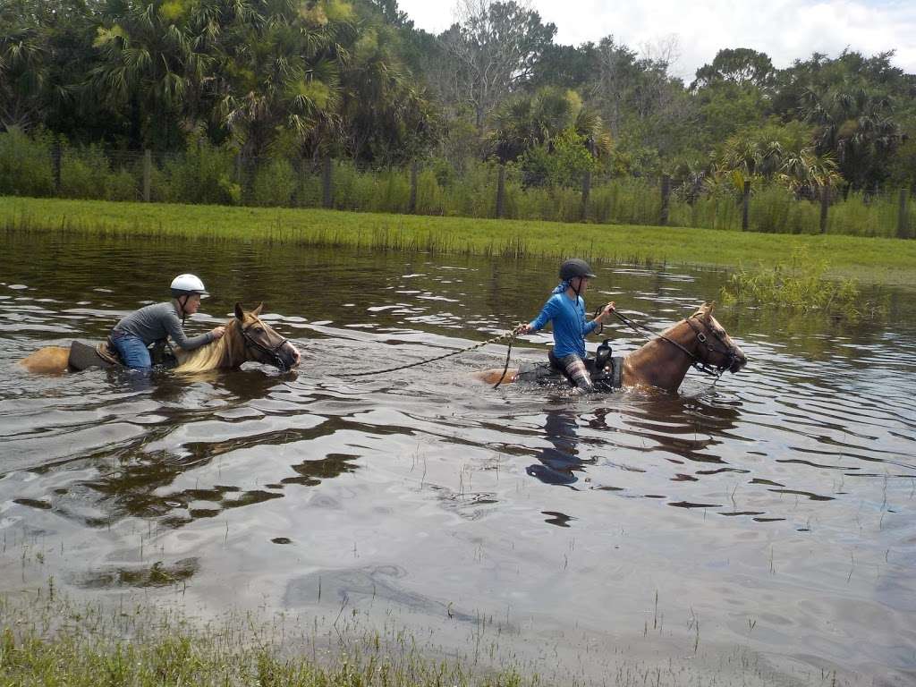 Desert Acres Stables | 5035 Florida Palm Ave, Cocoa, FL 32927, USA | Phone: (321) 759-1605