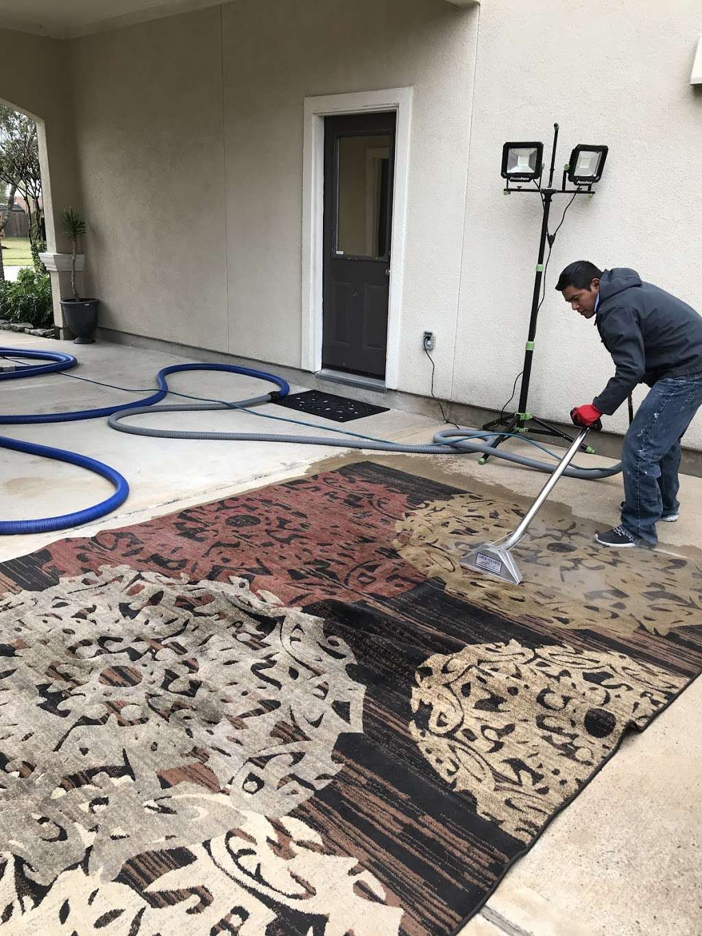 Natural Carpet Cleaning | 7700 Willow Chase Blvd, Houston, TX 77070, USA | Phone: (832) 962-1068