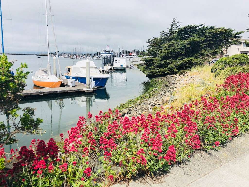 Berkeley Marina | Berkeley, CA 94720, USA