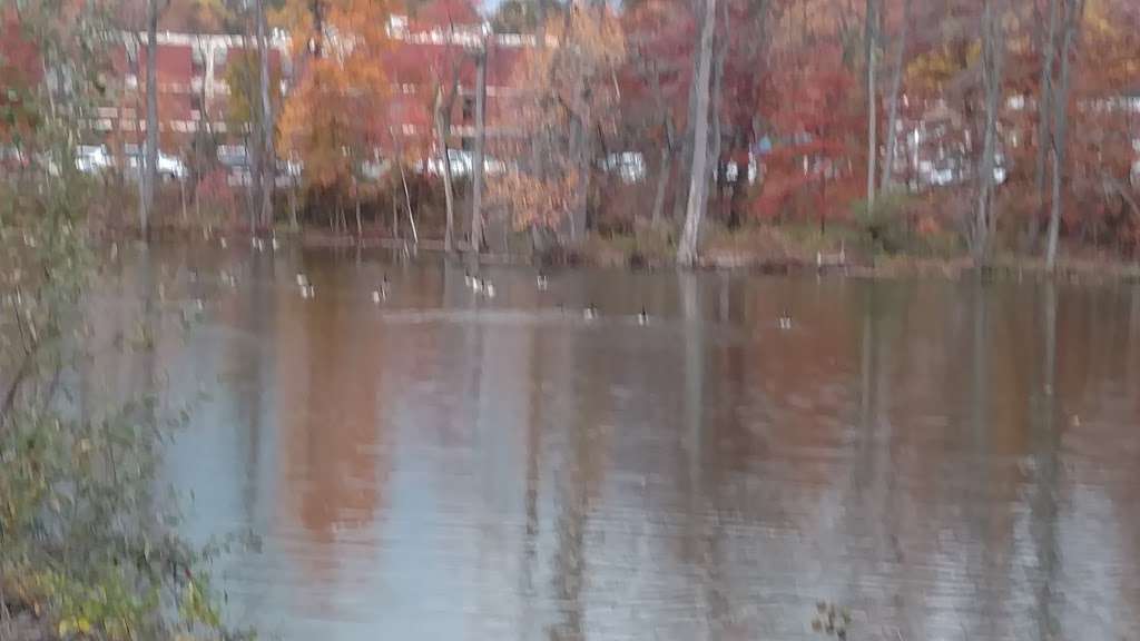 Oak Tree Pond Park | Edison, NJ 08820, USA