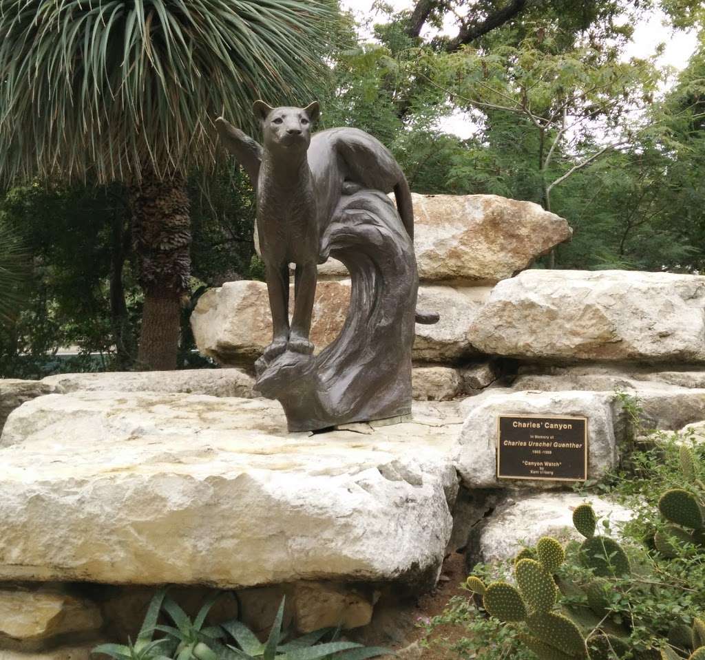 San Antonio Zoo | 3903 N St Marys St, San Antonio, TX 78212, USA | Phone: (210) 734-7184