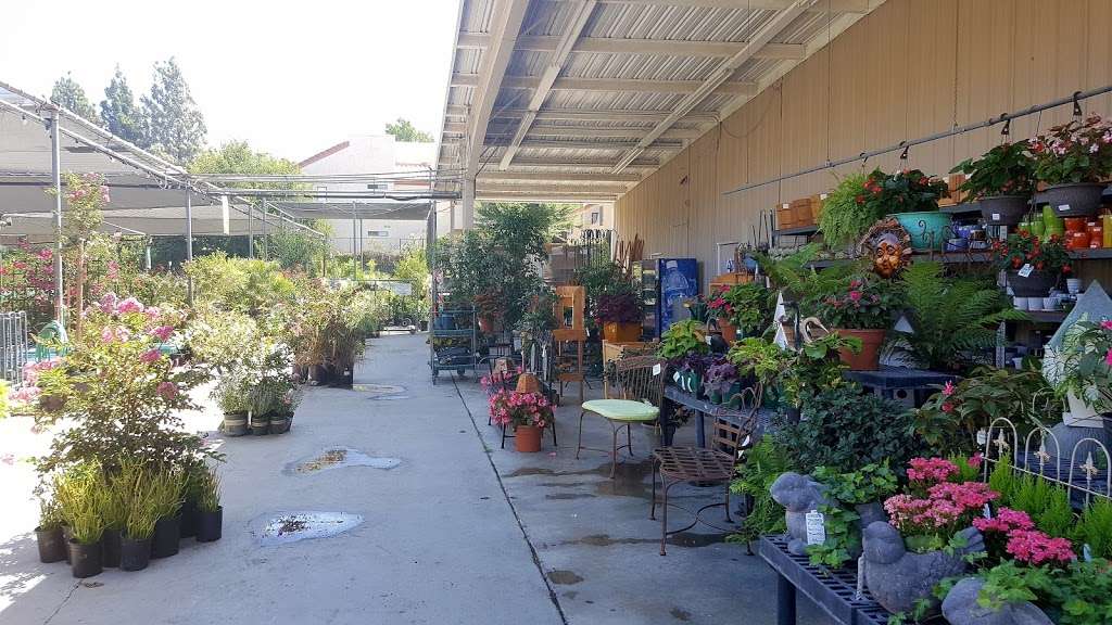 Green Thumb Nursery - Santa Clarita | 23734 Newhall Ave, Newhall, CA 91321 | Phone: (661) 259-1071