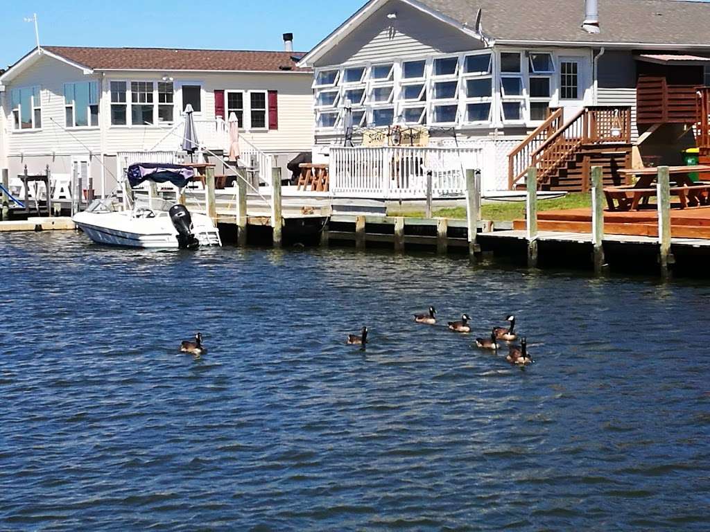 Mariners Cove | 35356 Sussex Ln, Millsboro, DE 19966, USA | Phone: (888) 509-1652