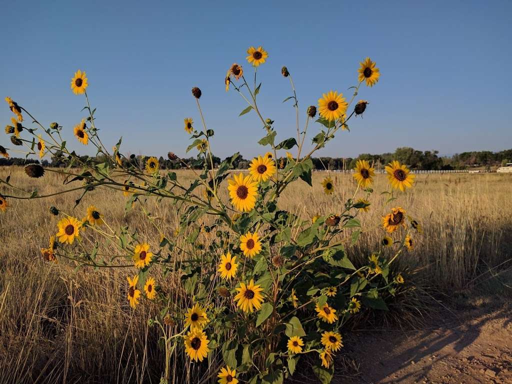 Kneebone Open Space | 11132-, 11298 Arapahoe Rd, Lafayette, CO 80026, USA | Phone: (303) 419-8455