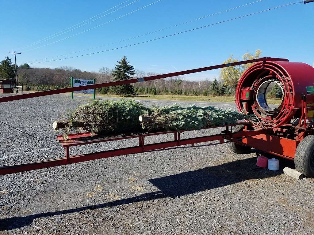 Helen & Eds Tree Farm | 3758 St Marys Rd, Wapwallopen, PA 18660, USA | Phone: (570) 868-6252