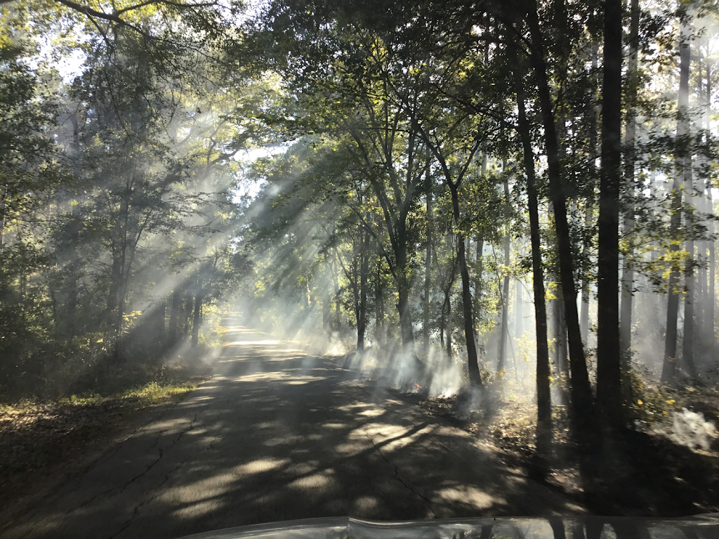 Lone Star Trail Trailhead 3 | 22733-22525, FM 149, Montgomery, TX 77356, USA | Phone: (936) 344-6205