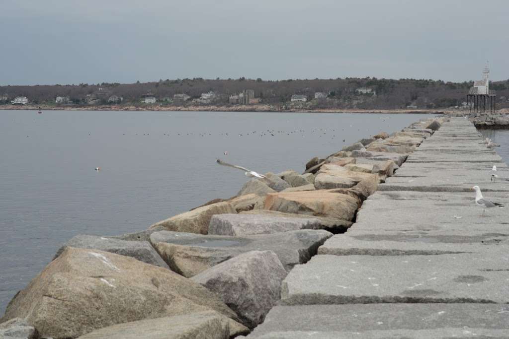 Mass Audubons Eastern Point Wildlife Sanctuary | 135 Eastern Point Blvd, Gloucester, MA 01930, USA | Phone: (978) 887-9264