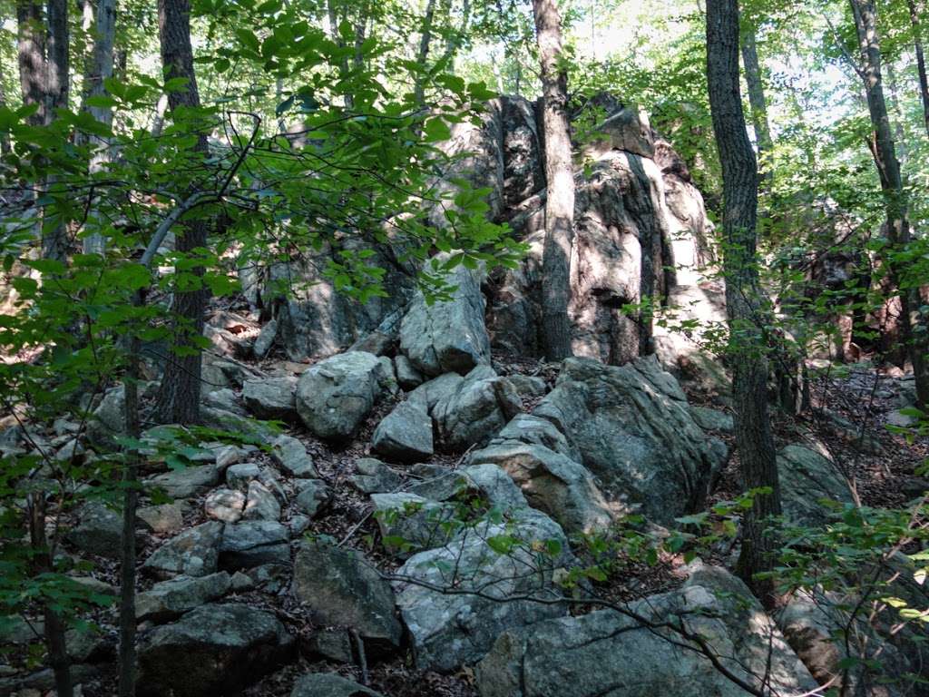 Ramapo Lake Trailhead | Oakland, NJ 07436, USA