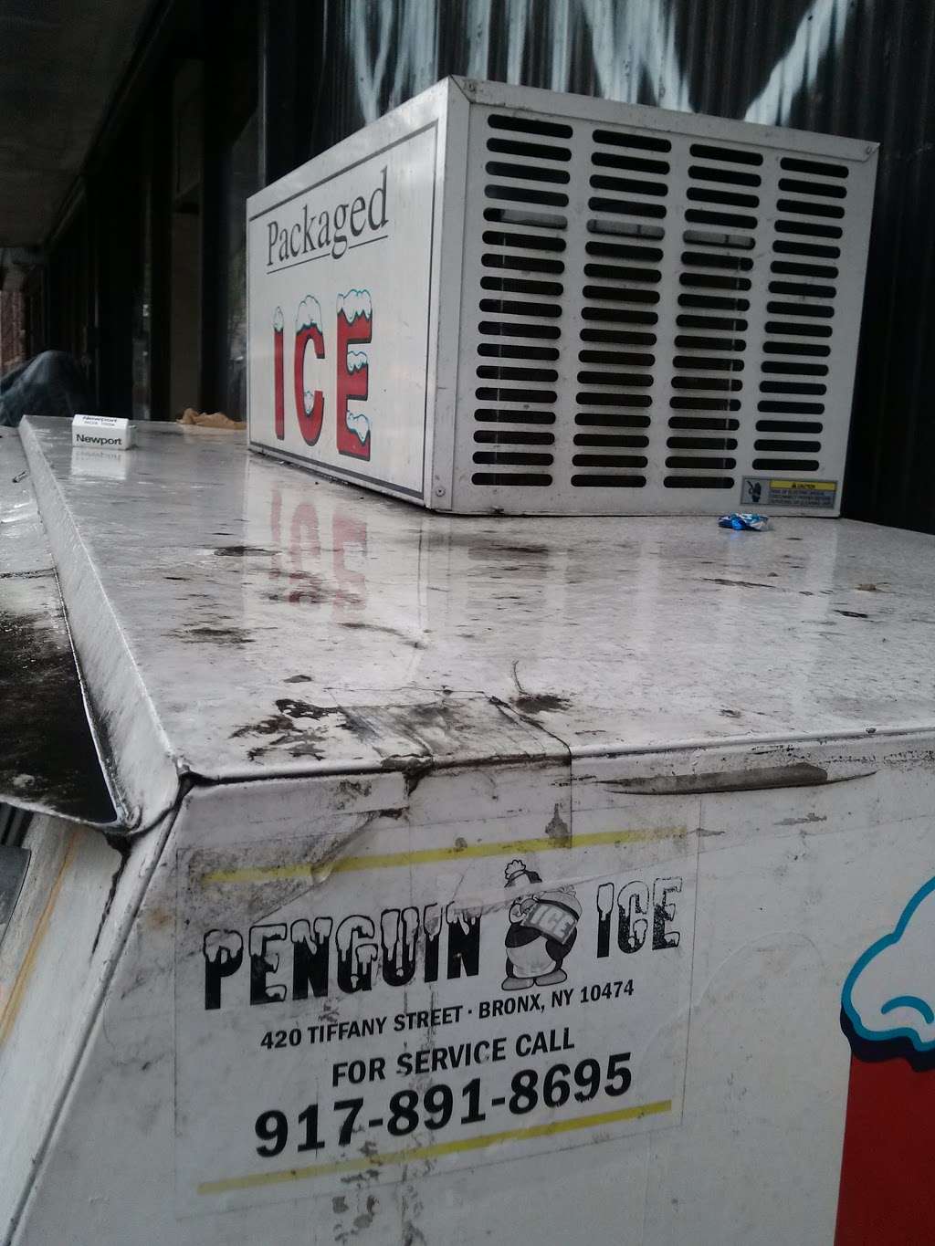 Penguin Ice | 82B Cantiague Rock Rd, Westbury, NY 11590, USA | Phone: (917) 891-8695