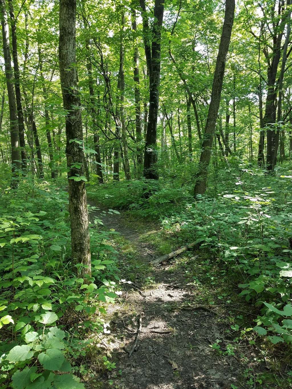 Baker County Forest Preserve | Minooka, IL 60447, USA