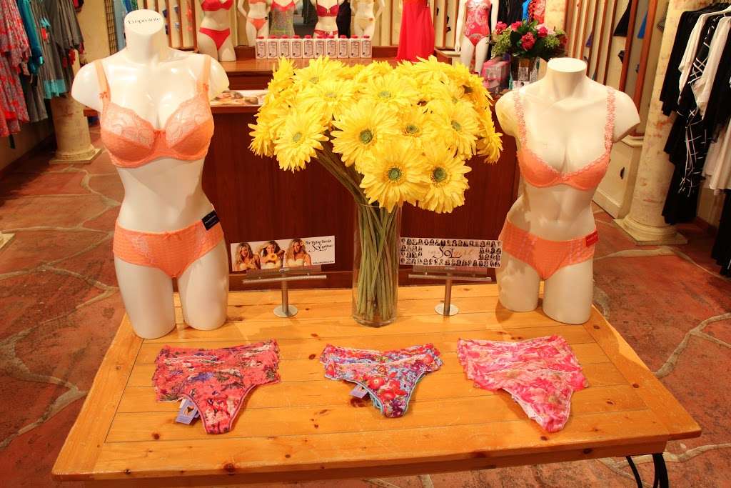 SOL Lingerie | 3010 E 6th Ave, Denver, CO 80206 | Phone: (303) 394-1060