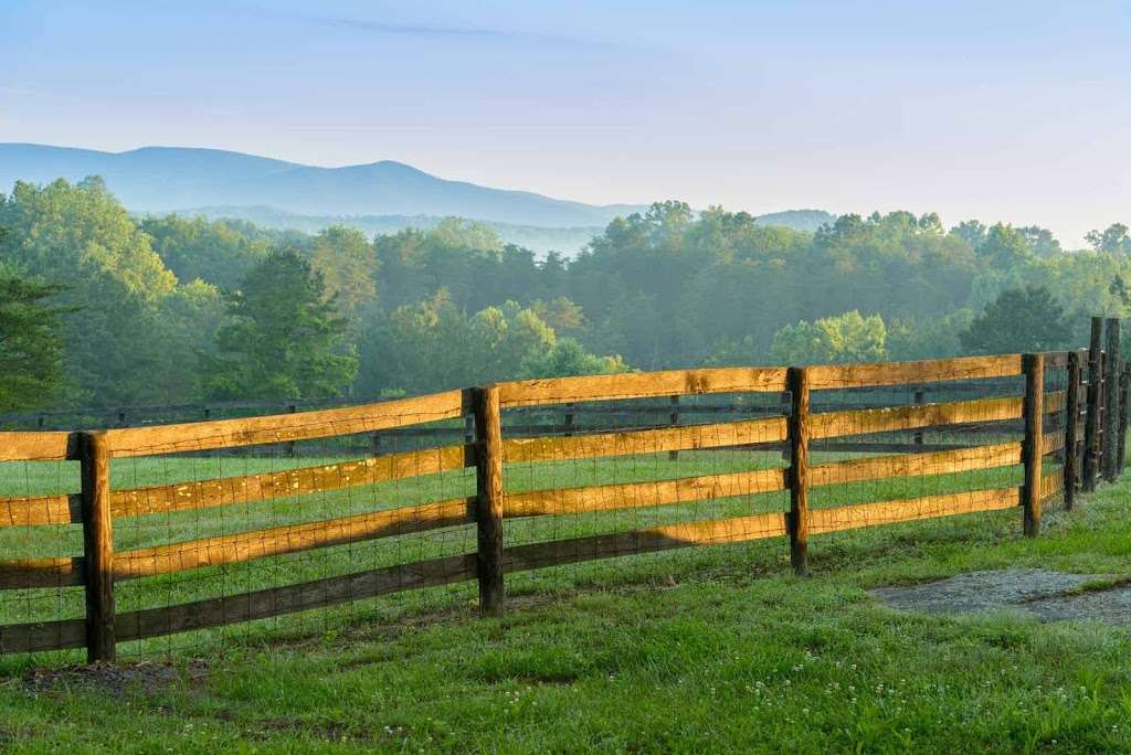 Castle Mountain Wingshooting | 164 Castle Mountain Rd, Castleton, VA 22716 | Phone: (540) 937-2520