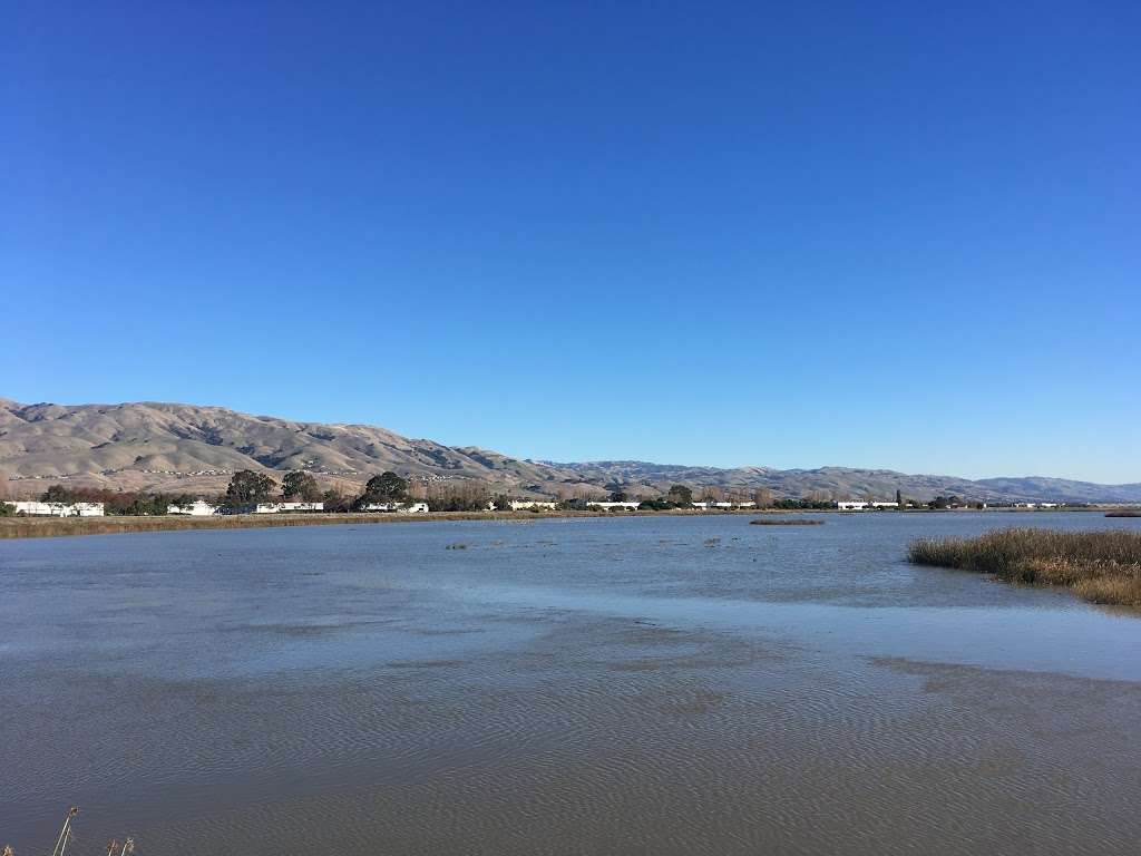 Coyote Creek Lagoon Trail | Fremont, CA 94538, USA