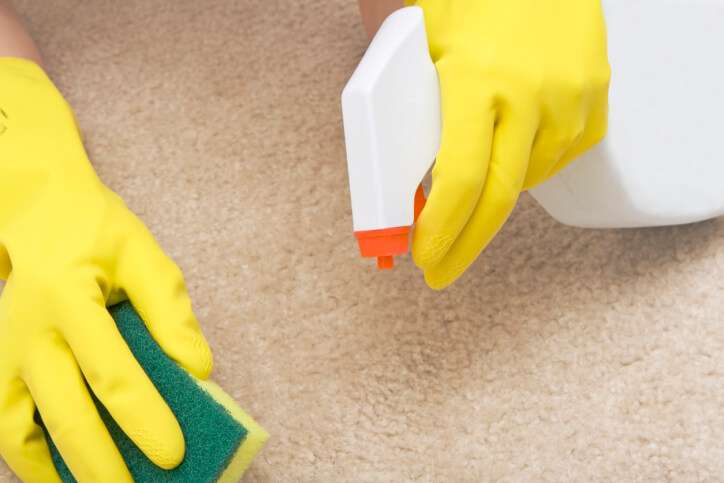 TMC Carpet Cleaning | Castle Rock, CO 80104, USA | Phone: (303) 515-7293