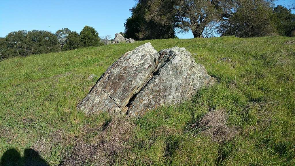 Deer Island Open Space | 320 Deer Island Ln, Novato, CA 94945, USA