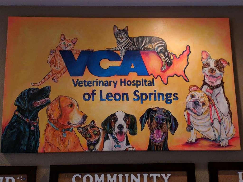 VCA Veterinary Hospital of Leon Springs | 19633 I-10, San Antonio, TX 78257, USA | Phone: (210) 698-1043