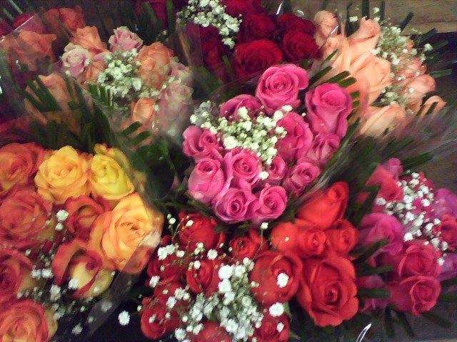 Jen-Mor Florist | 2109 S Dupont Hwy, Dover, DE 19901, USA | Phone: (302) 697-3273