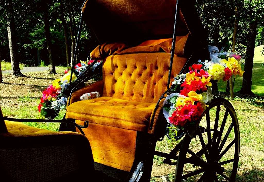 Horse & Carriage Ltd | 3210 Old Mocksville Rd, Salisbury, NC 28144, USA | Phone: (704) 633-0852