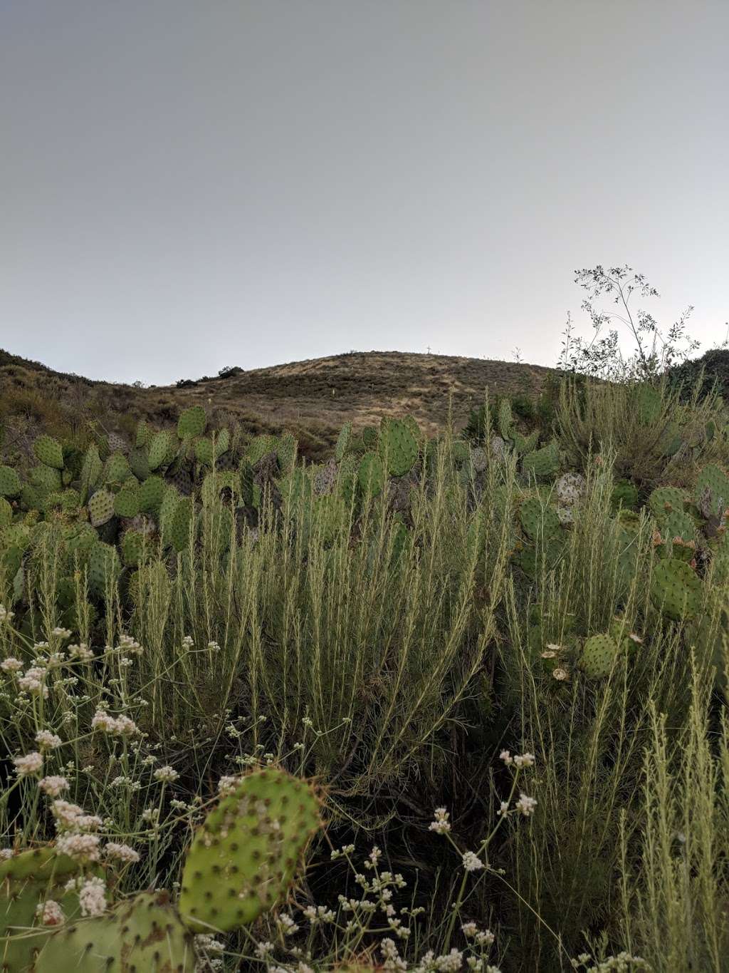 Mt McCoy Cross Trailhead | 4 Washburn St, Simi Valley, CA 93065, USA