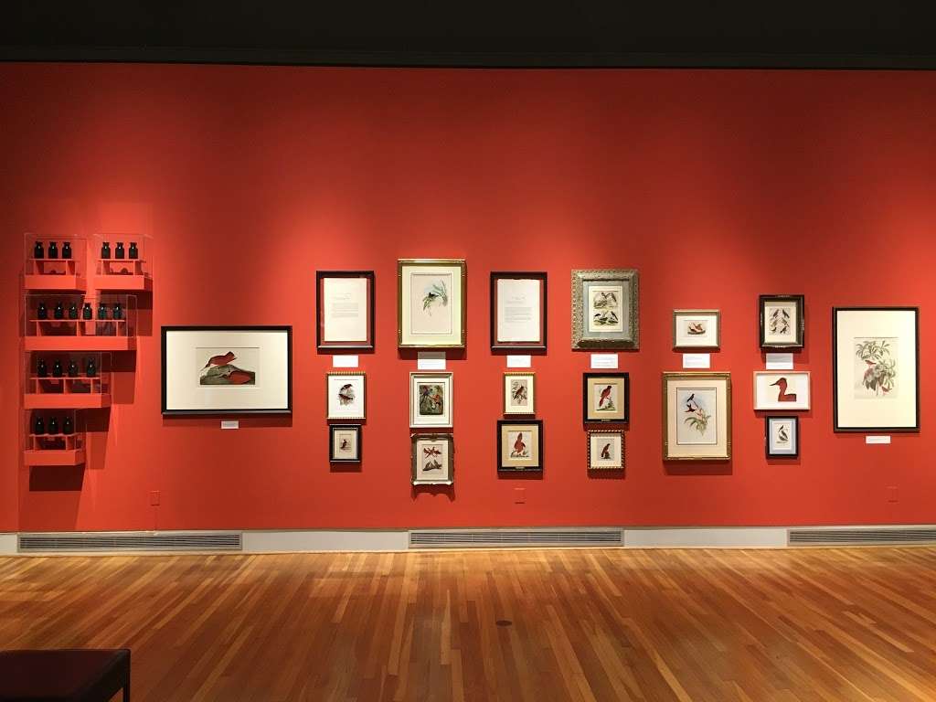 The Philip & Muriel Berman Museum of Art | 601 E Main St, Collegeville, PA 19426 | Phone: (610) 409-3500