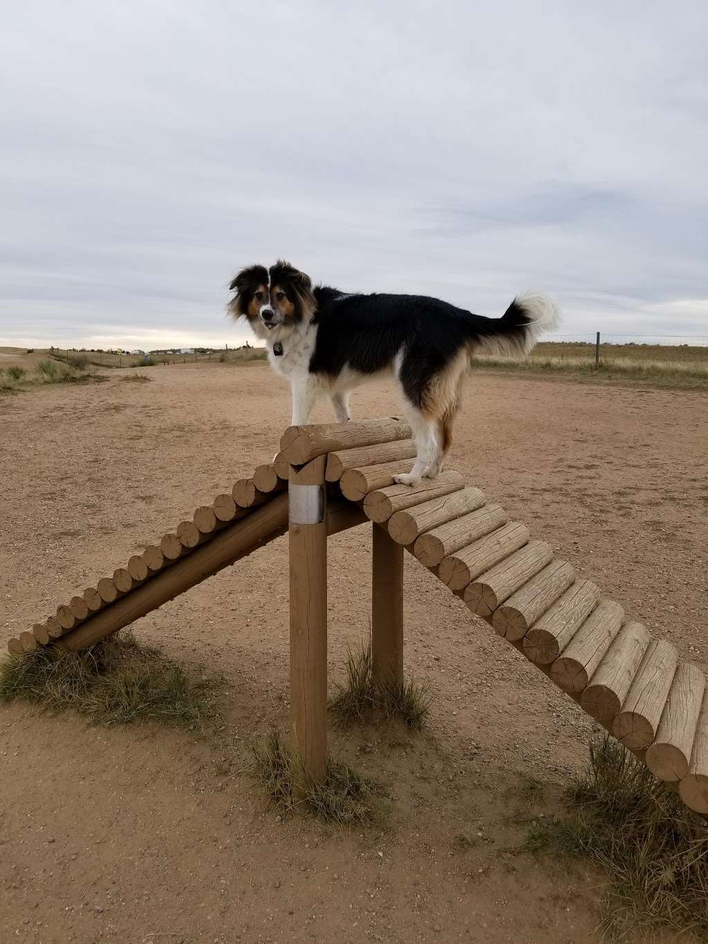 Dog Park | Castle Rock, CO 80108, USA