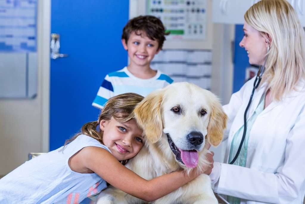 MiraVista Veterinary Diagnostics | 9603, 4705 Decatur Blvd, Indianapolis, IN 46241 | Phone: (888) 841-8387