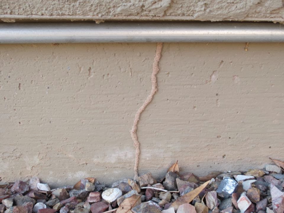 Stormin Norman Termite and Pest Control | 20987 N John Wayne Pkwy, Maricopa, AZ 85138, USA | Phone: (480) 804-1114